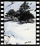 2004-snow78